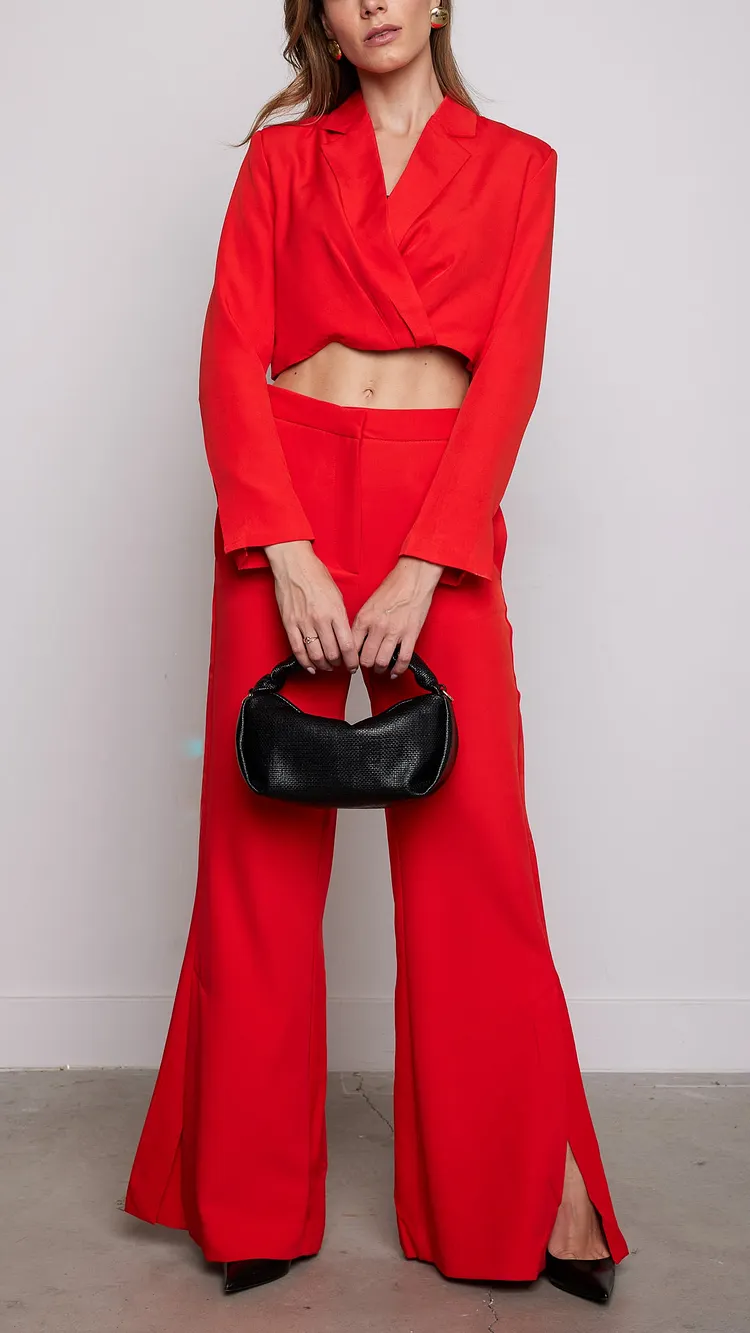 Perfect Blend Of Sophistication And Contemporary Style  Blazer in Red