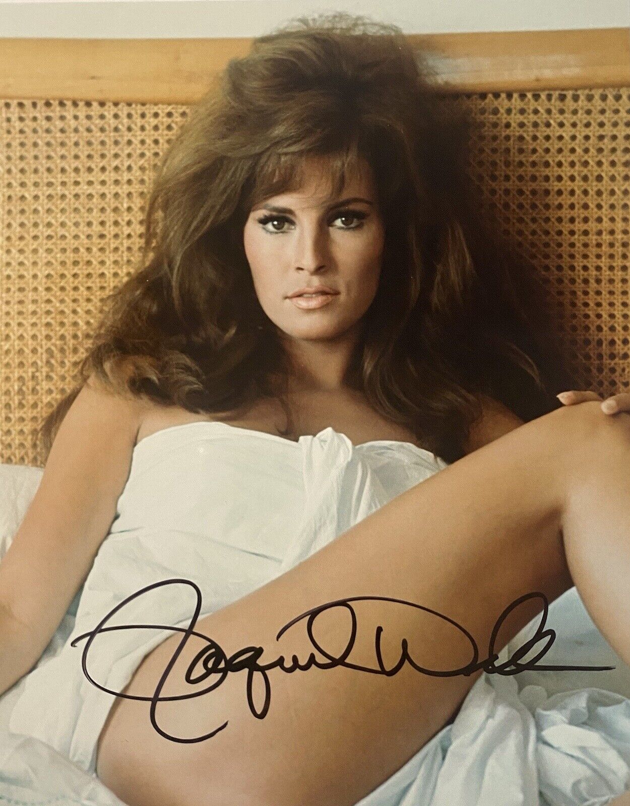 Raquel Welch Autographed Signed 8x10 Color Photo Poster painting Sexy