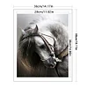 Horse - 11CT Counted Cross Stitch - 36*46cm - Animal