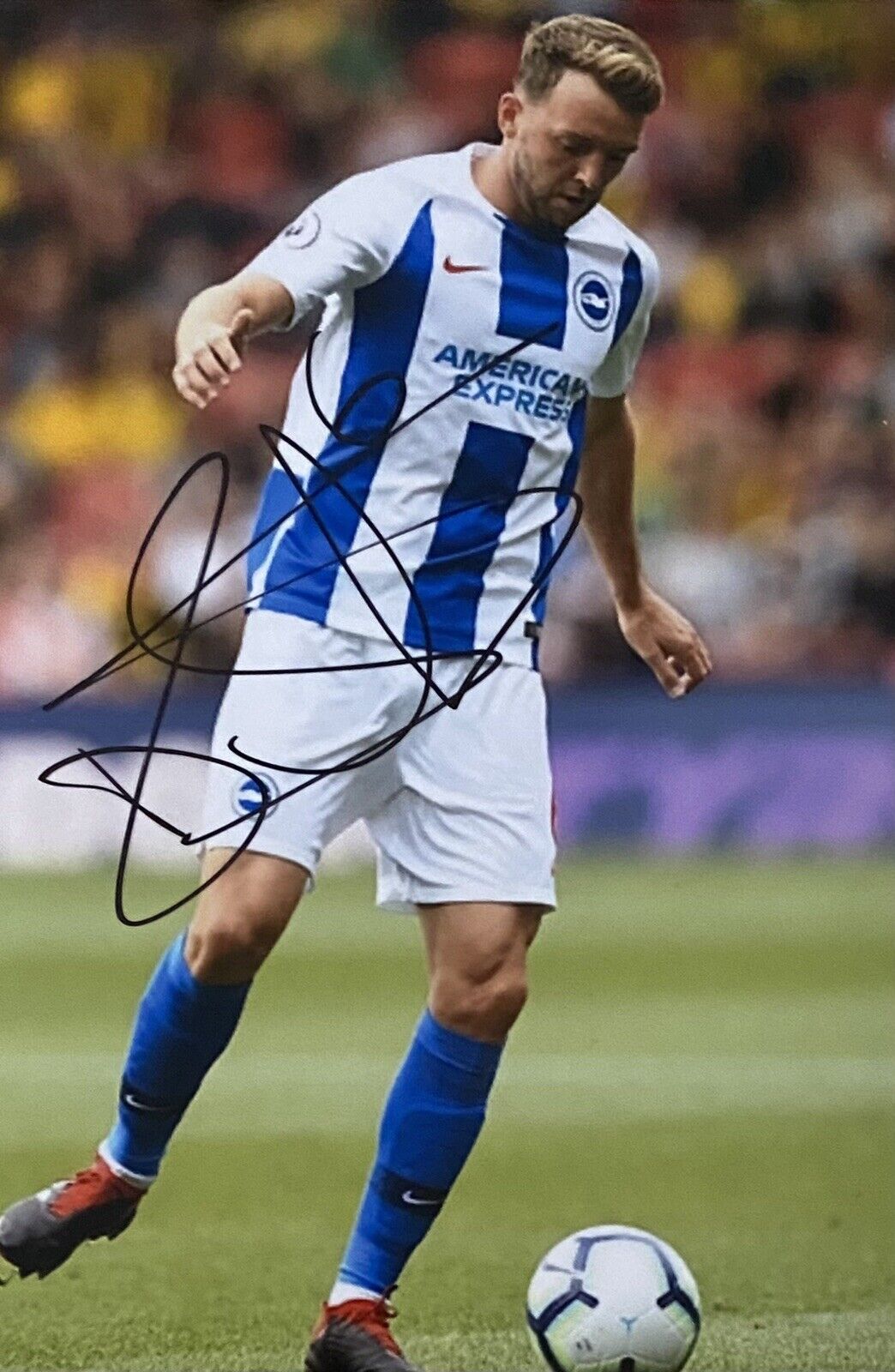 Dale Stephens Genuine Hand Signed Brighton 6X4 Photo Poster painting