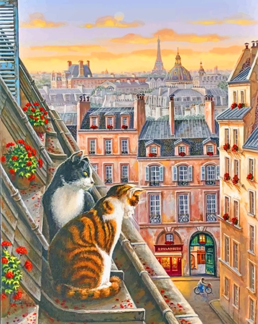 

Cats – Paint By Numbers - 40*50CM, 501 Original