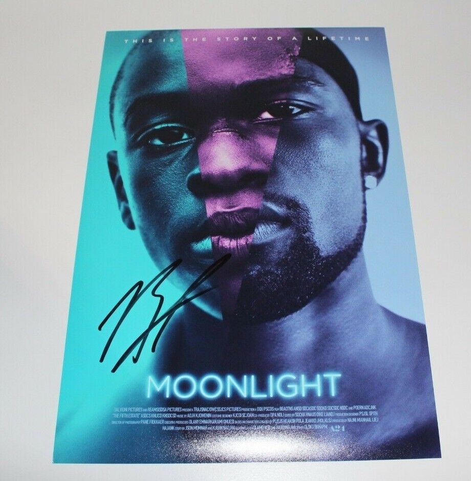 DIRECTOR BARRY JENKINS SIGNED 'MOONLIGHT' 12x18 MOVIE POSTER Photo Poster painting w/COA OSCAR