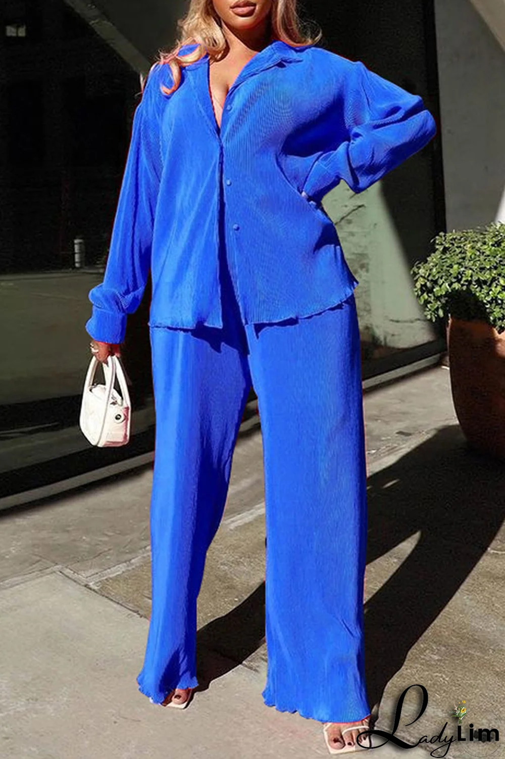 Blue Casual Solid Patchwork Turndown Collar Long Sleeve Two Pieces