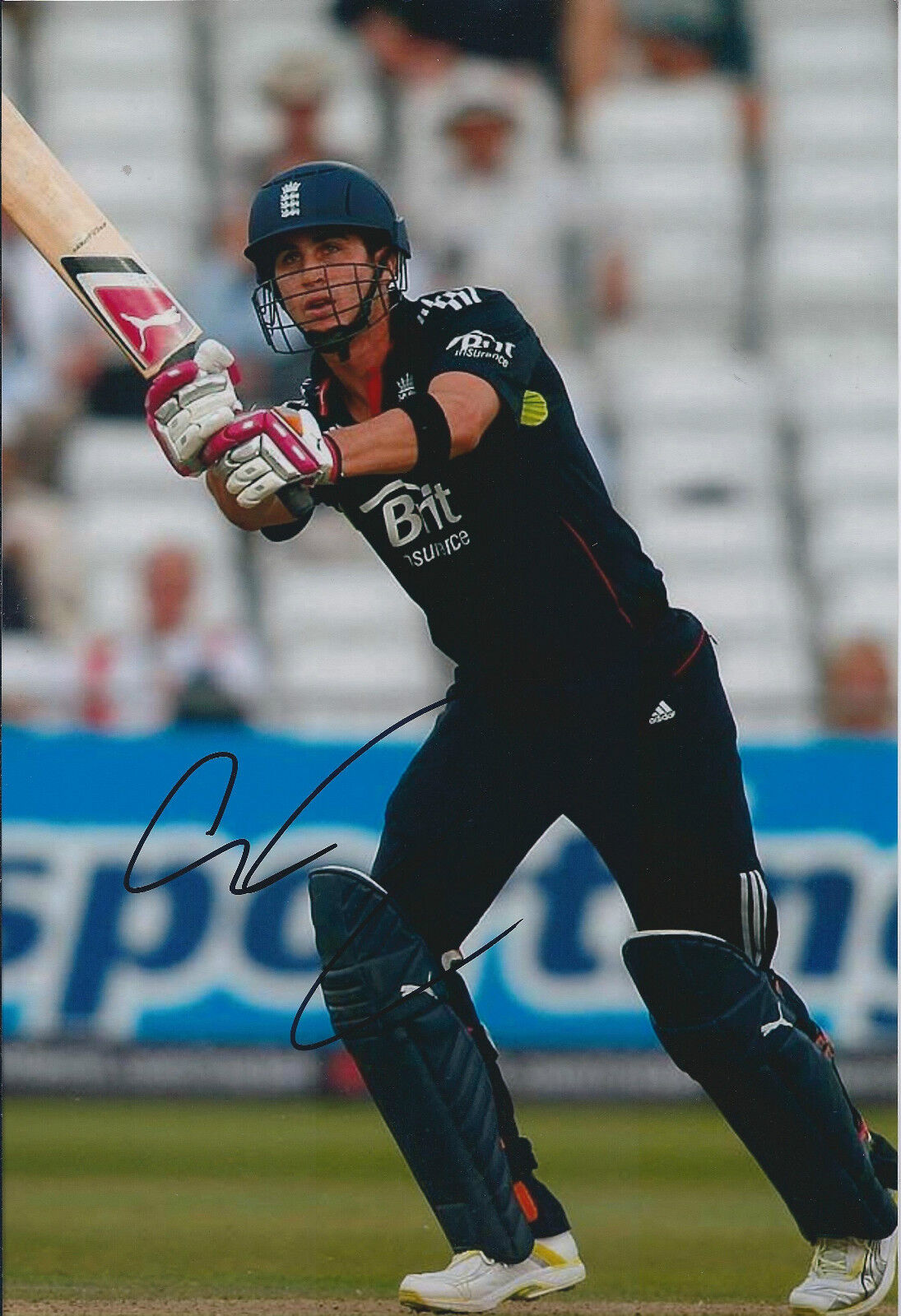 Craig KIESWETTER Signed Autograph 12x8 Photo Poster painting AFTAL COA Cricket Somerset Genuine