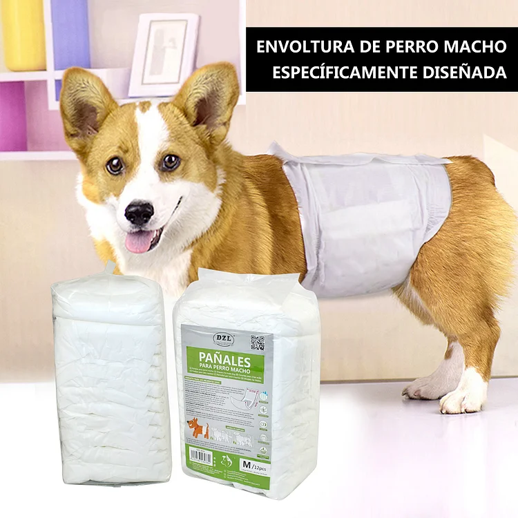 SMELL & SMILE Pañales Desechables para Perro Pañales para Perros Macho  Pañal Sanitarios para Perro Mascotas Bragas Higiénicas Suaves absorbentes S  M L