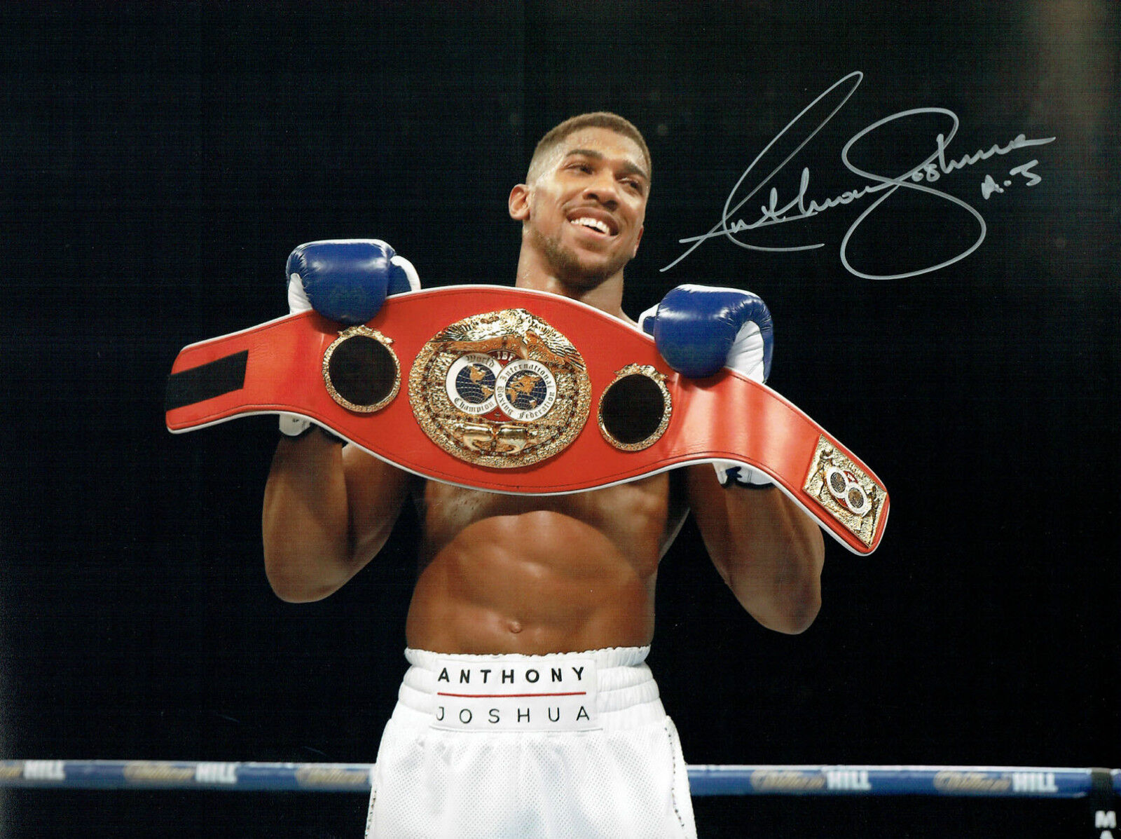 Anthony JOSHUA Heavyweight Boxer Signed 16x12 Photo Poster painting AFTAL COA RARE