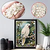 Diamond Painting-DIY Special Shaped Drill Pearl Painting Parrot(30x40cm)