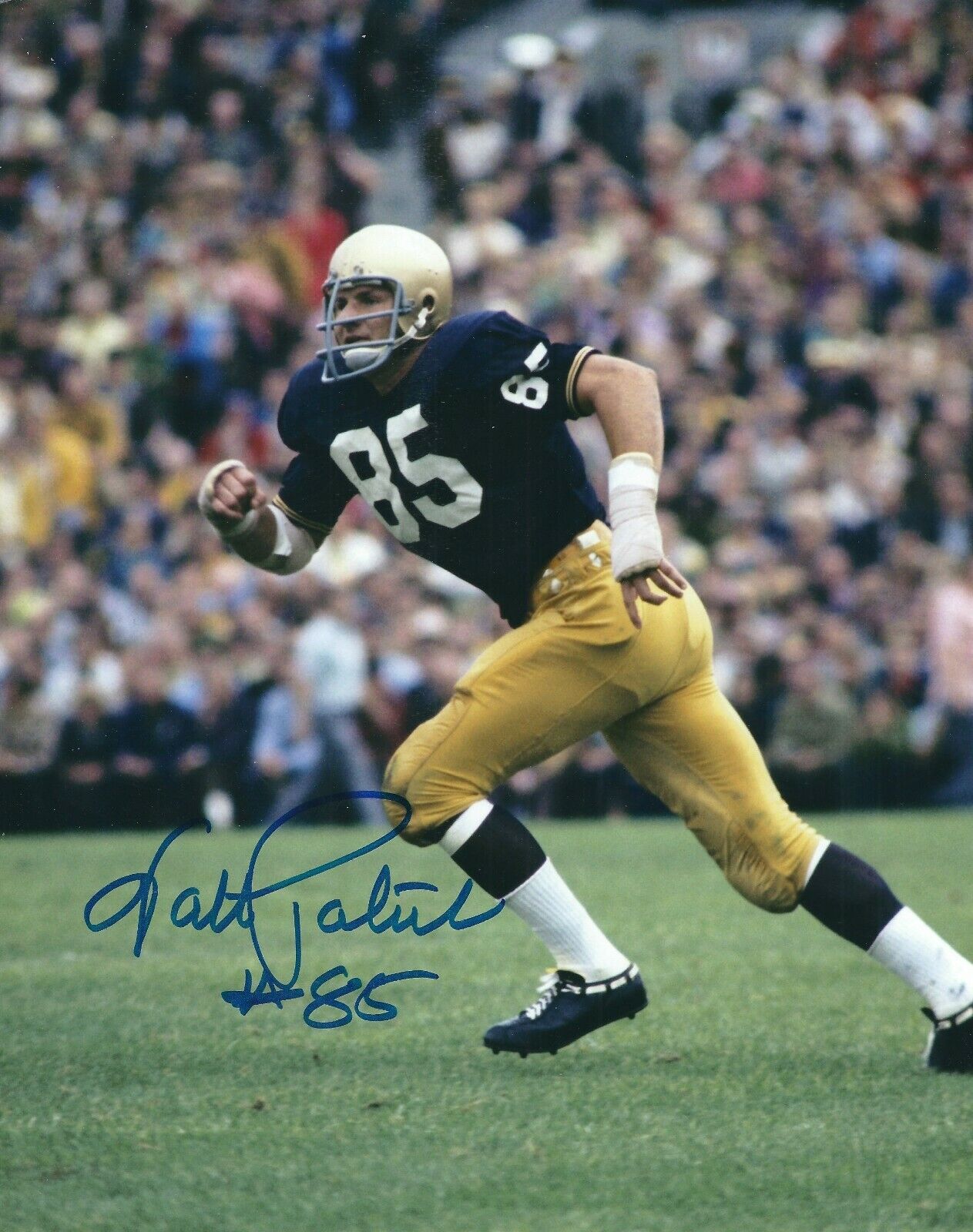 Autographed WALT PATULSKI Notre Dame 8x10 Photo Poster painting w/COA