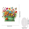 (US Only)Acrylic Special Shape Flower Pot Diamond Painting Desktop Ornaments for Office