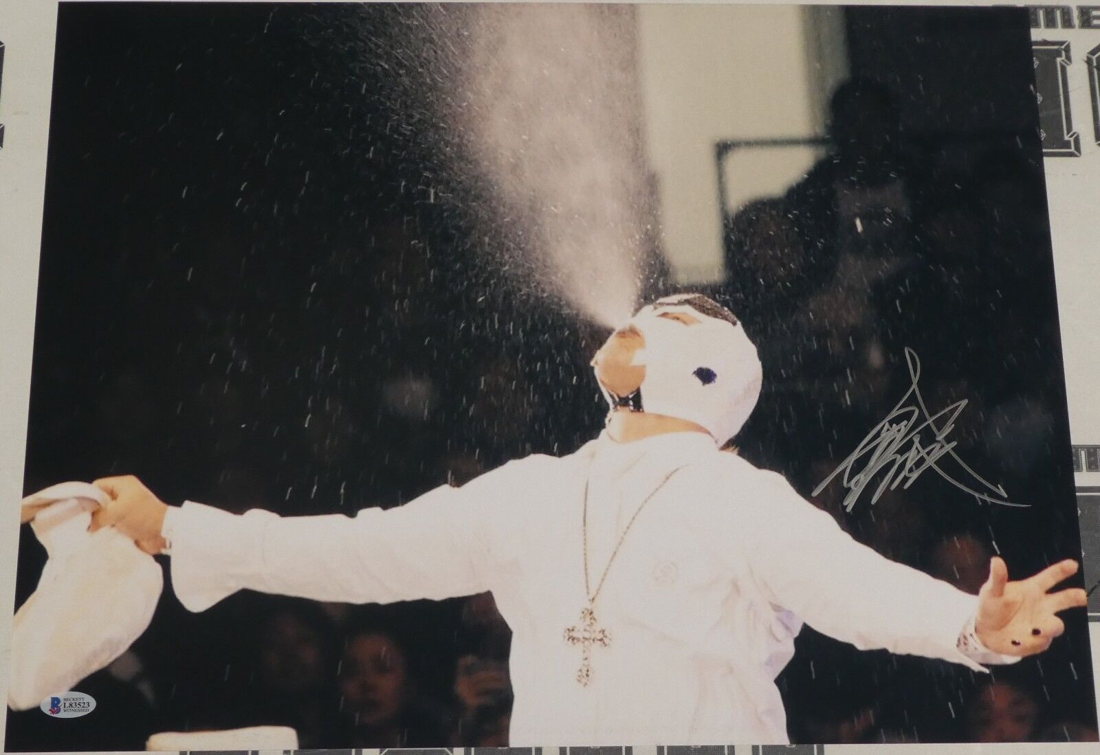 Bushi Signed 16x20 Photo Poster painting BAS Beckett COA New Japan Pro Wrestling Autograph LIJ 2