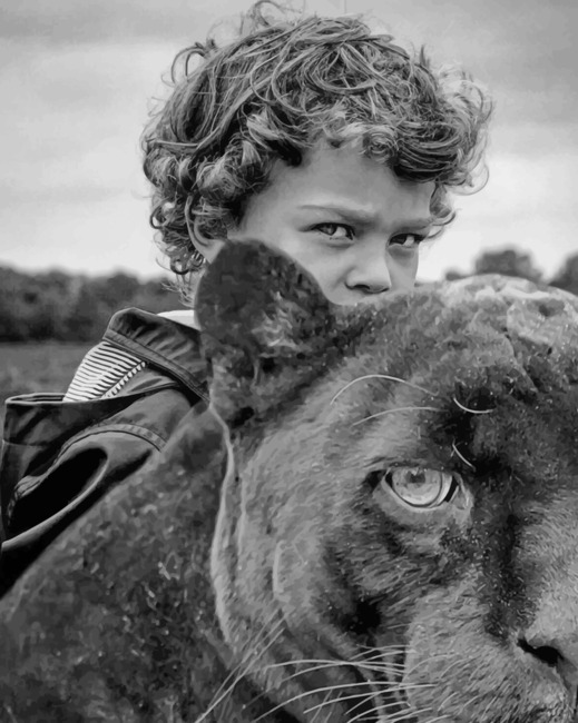 

Boy And Tiger – Paint By Numbers - 40*50CM, 501 Original