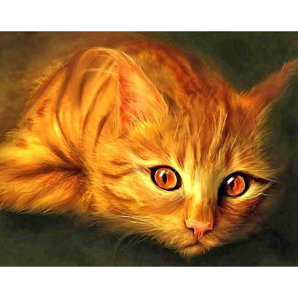 

Yellow Cat - Round Drill Diamond Painting - 40*30CM, 501 Original