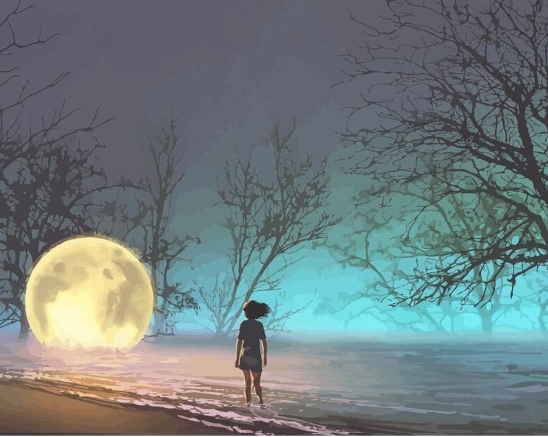 

Moon on Beach – Paint By Numbers - 40*50CM, 501 Original