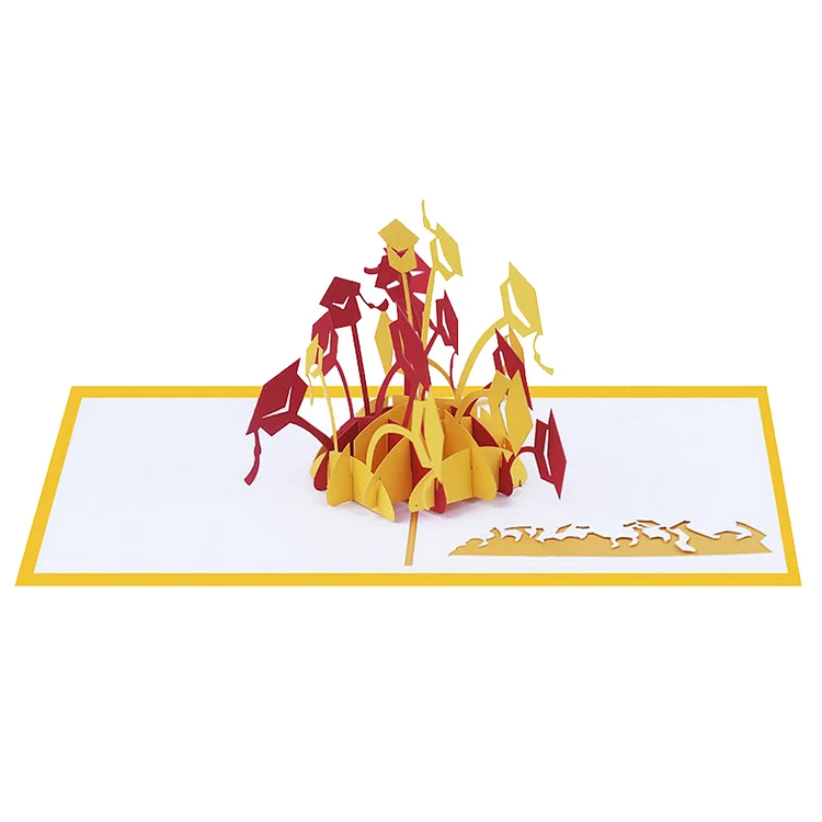 3D Pop Up Card - Graduation Jump Out Card Creative 3D Greeting Card for Invitation (Gold Red)