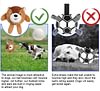 Zoo Ball | 2-in-1 Plush and Squeaky Tennis Ball for Dog | No Stuffing Tough Interactive Fetch Dog Toys for Small Medium Large Dogs