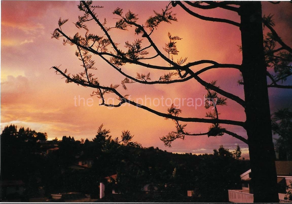 Suburban Sunset FOUND Photo Poster painting ColorOriginal Snapshot VINTAGE 08 24