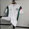2023/2024 Palmeiras Training Wear Jersey 1:1 Thai Quality
