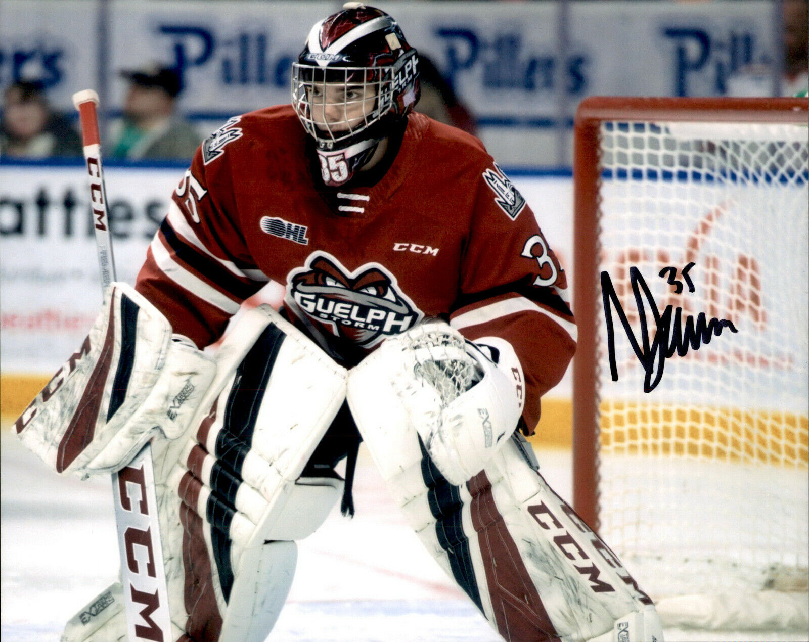 Nico Daws SIGNED autographed 8x10 Photo Poster painting GUELPH STORM / NEW JERSEY DEVILS #4