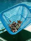 Pool Cleaning Nets Pole Leaf Skimmer Net With Short Pole Swimming Pool Cleaning Net Lightweight Deep-Water Pools Leaf Nets for Fine Debris in Inground/Above Ground