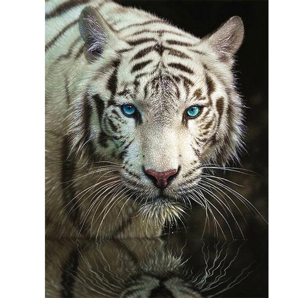 

40*50CM - Round Drill Diamond Painting - White Tiger, 501 Original