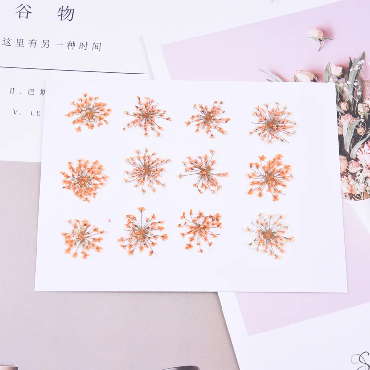 Pocket Accessories - Lucky Edelweiss-12 PCS-Himinee.com