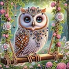 Diamond Painting-DIY Crystal Rhinestone Garden Owl