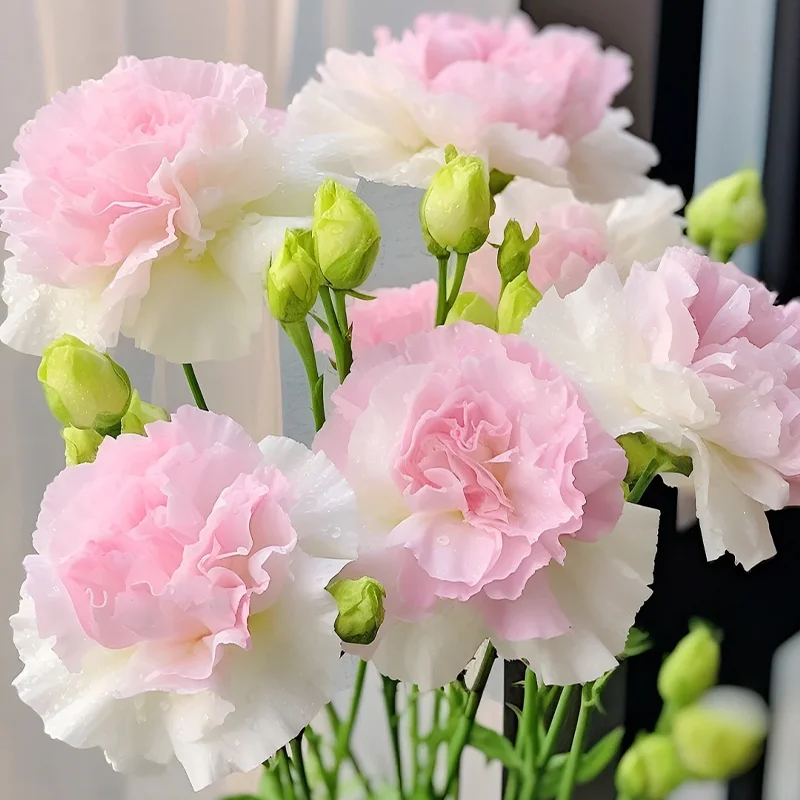 Premium Lisianthus Seeds – Grow Elegant, Long-Lasting Blooms in Your Garden
