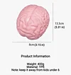 Squishy Brain Extra Large Streess Reliever Christmas Birthday Gift Idea