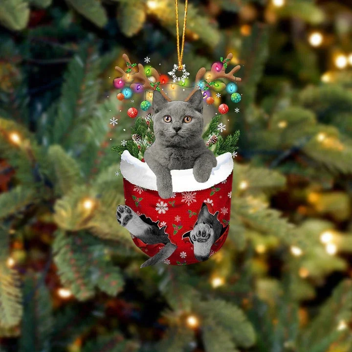 Cat 7 In Snow Pocket Christmas Ornament.