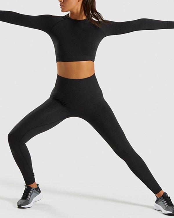 Seamless Yoga Set Two Piece long Sleeve Top & Leggings