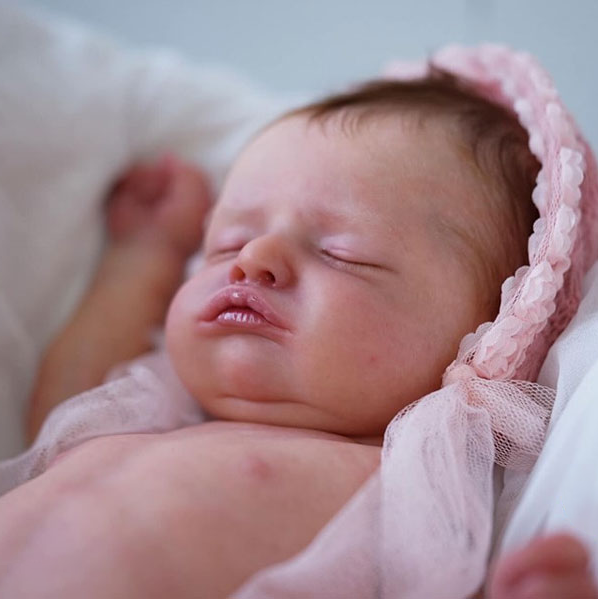 Reborns Rosalie 20 '' Sleeping Alliania Lifelike Reborn Baby Dolls with “Heartbeat” and Sound