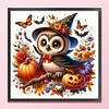 Halloween Pumpkin Owl-14CT Counted Cross Stitch 40*40cm/15.75*15.75in