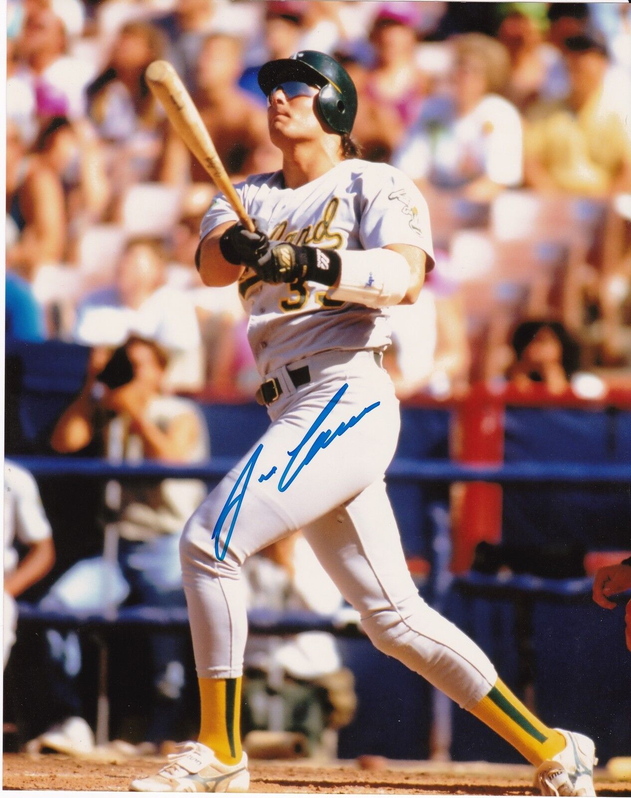 JOSE CANSECO OAKLAND A'S ACTION SIGNED 8x10