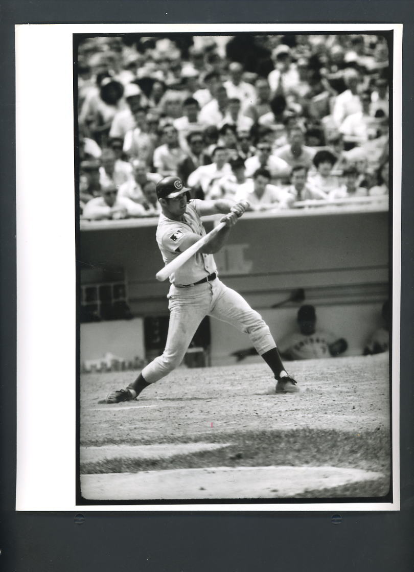 Ron Santo Original 8x10 Photo Poster painting Action Swinging Bat Chicago Cubs