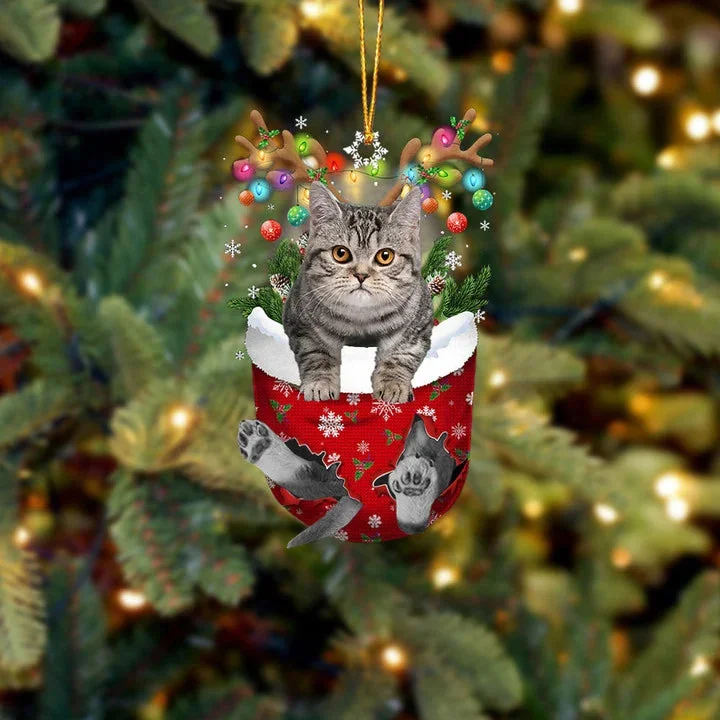 Cat 9 In Snow Pocket Christmas Ornament.