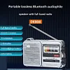 DE808 Multi-functional Portable Radio with Bluetooth, SIM Card, USB Flash Drive, Lighting, and Charging Capabilities