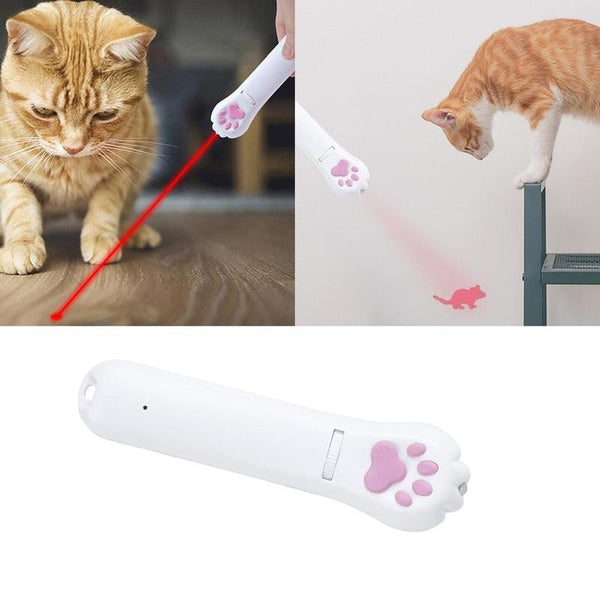 Cat Teaser Toy