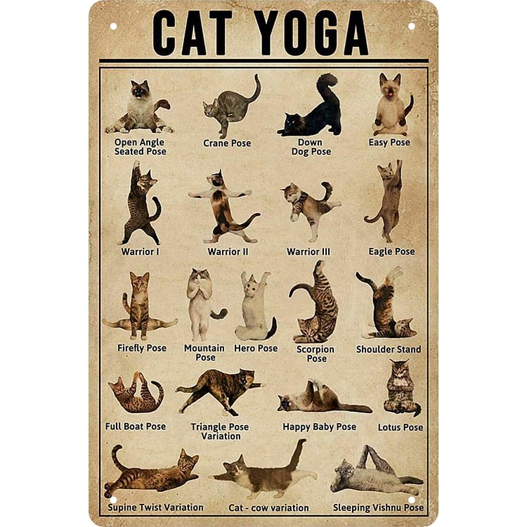 Yoga Cat - Vintage Tin Signs/Wooden Signs - 8*12Inch/12*16Inch