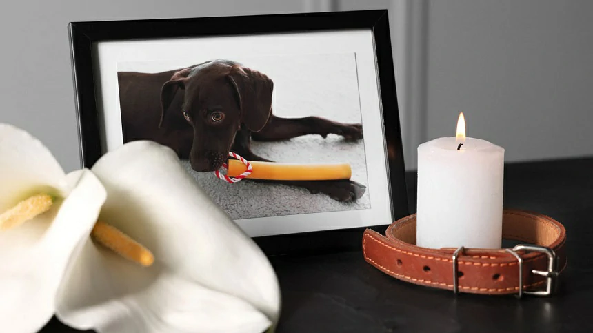 How long does grief last after the death of a pet?