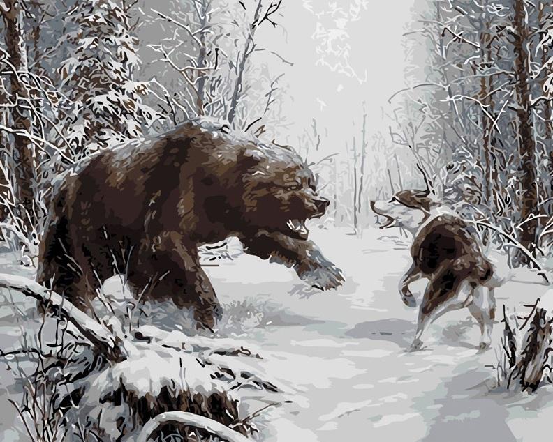 

Bear Vs Wolf – Paint By Numbers - 40*50CM, 501 Original