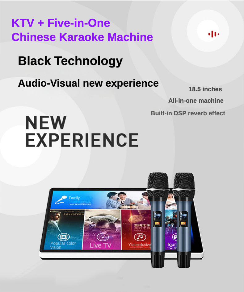 Deeege-迪格 5 in 1 Chinese Karaoke Machine 1