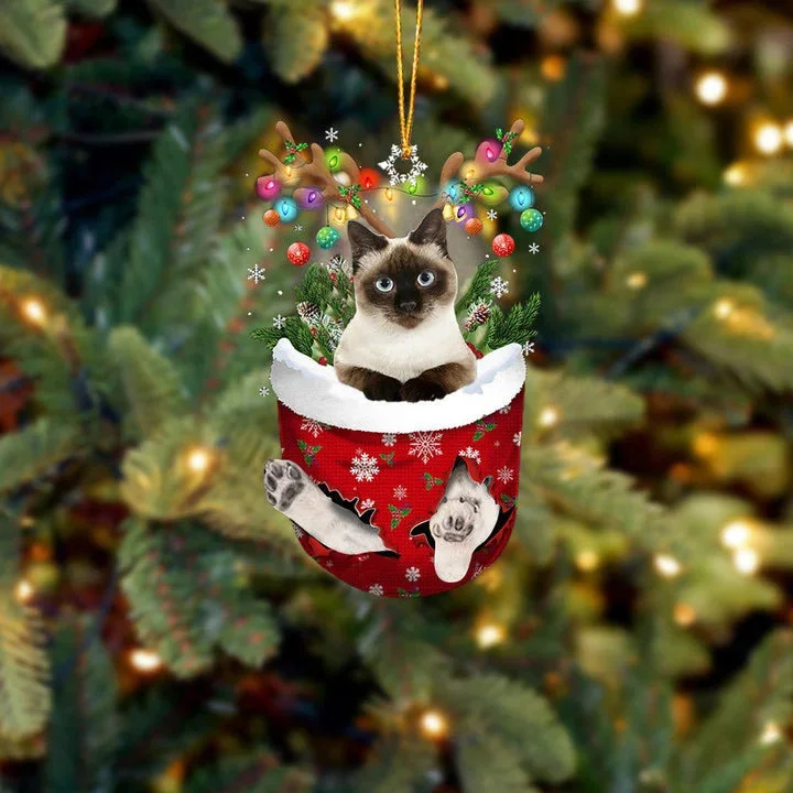 Cat 25 In Snow Pocket Christmas Ornament.