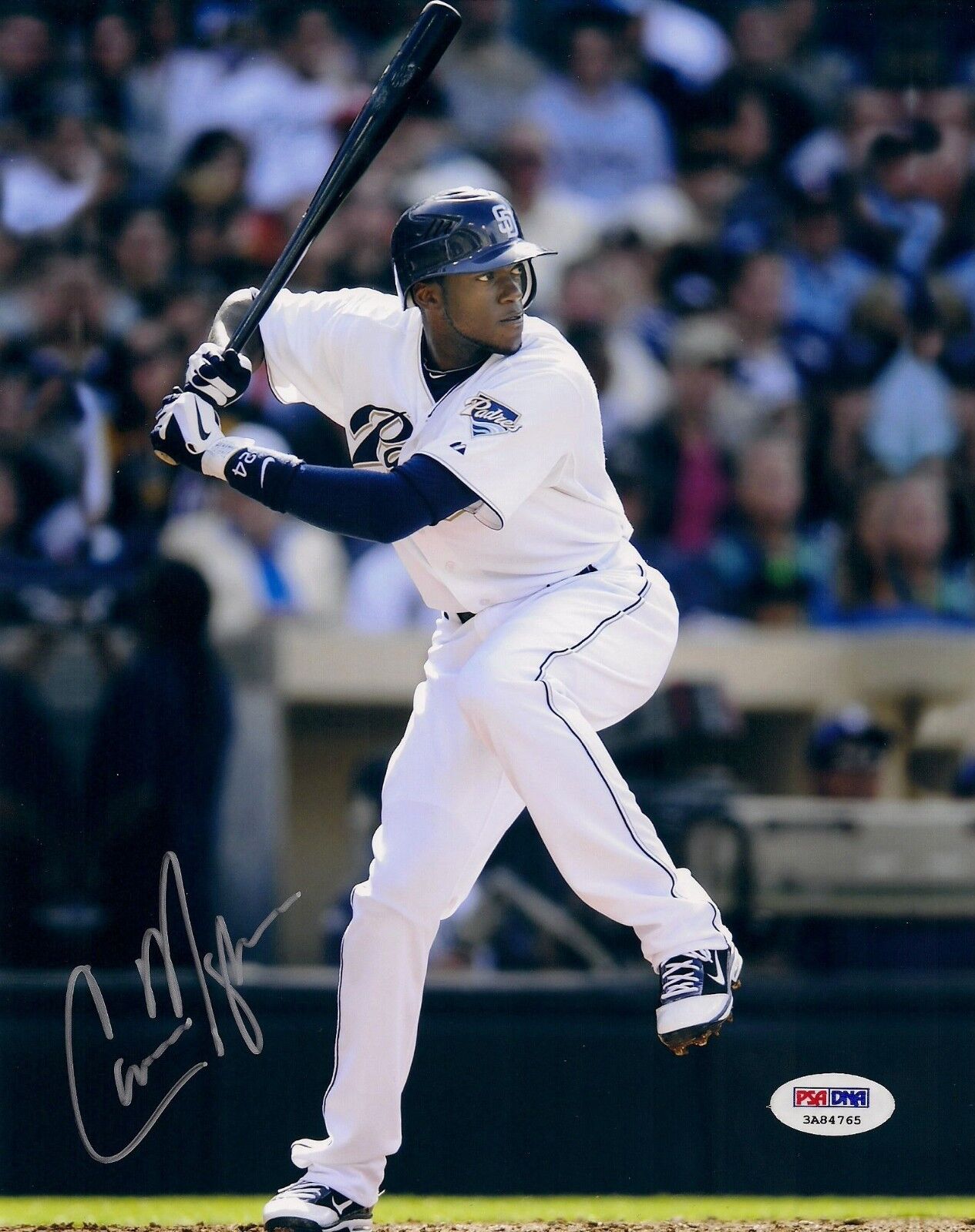 Cameron Maybin Signed Padres 8x10 Photo Poster painting PSA/DNA COA Auto Picture in White Jersey