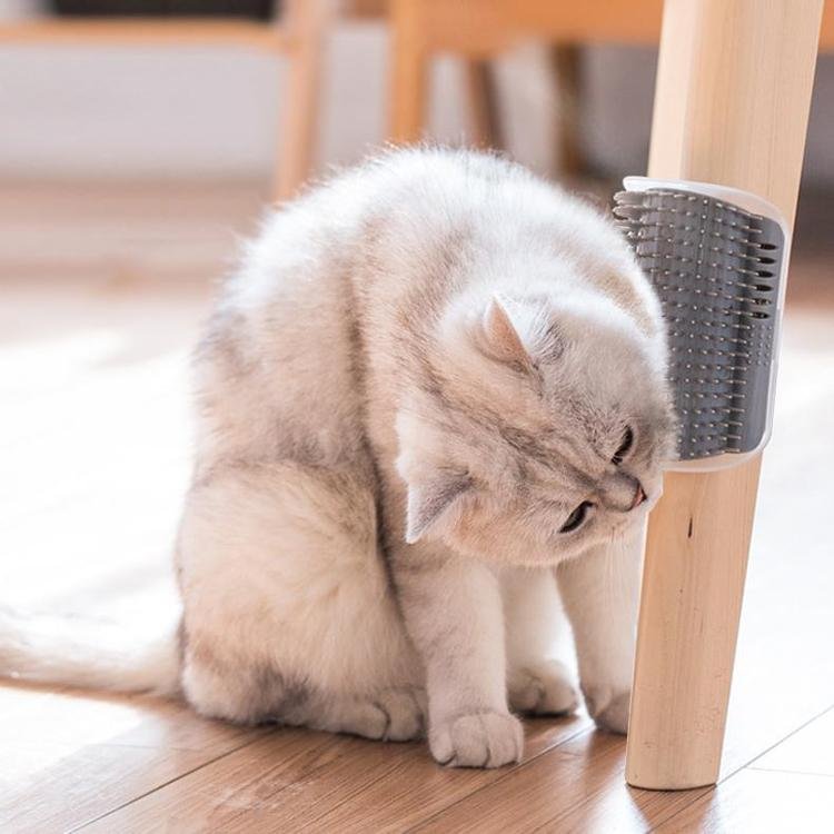 Corner Cat Scratcher