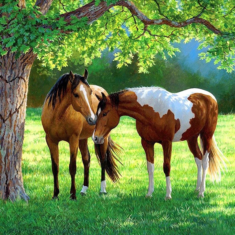 Full Round Diamond Painting Horse (30*30cm)