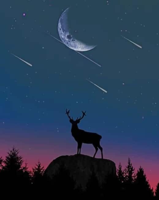 

Deer Silhouette – Paint By Numbers - 40*50CM, 501 Original