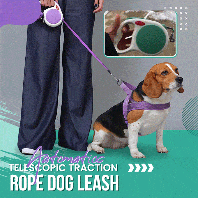 Automatic Telescopic Traction Rope Dog Leash