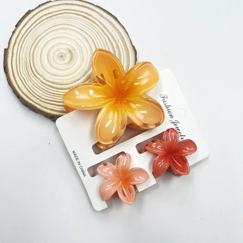 Vacation Modern Style Women’s Flower Resin Hair Claws