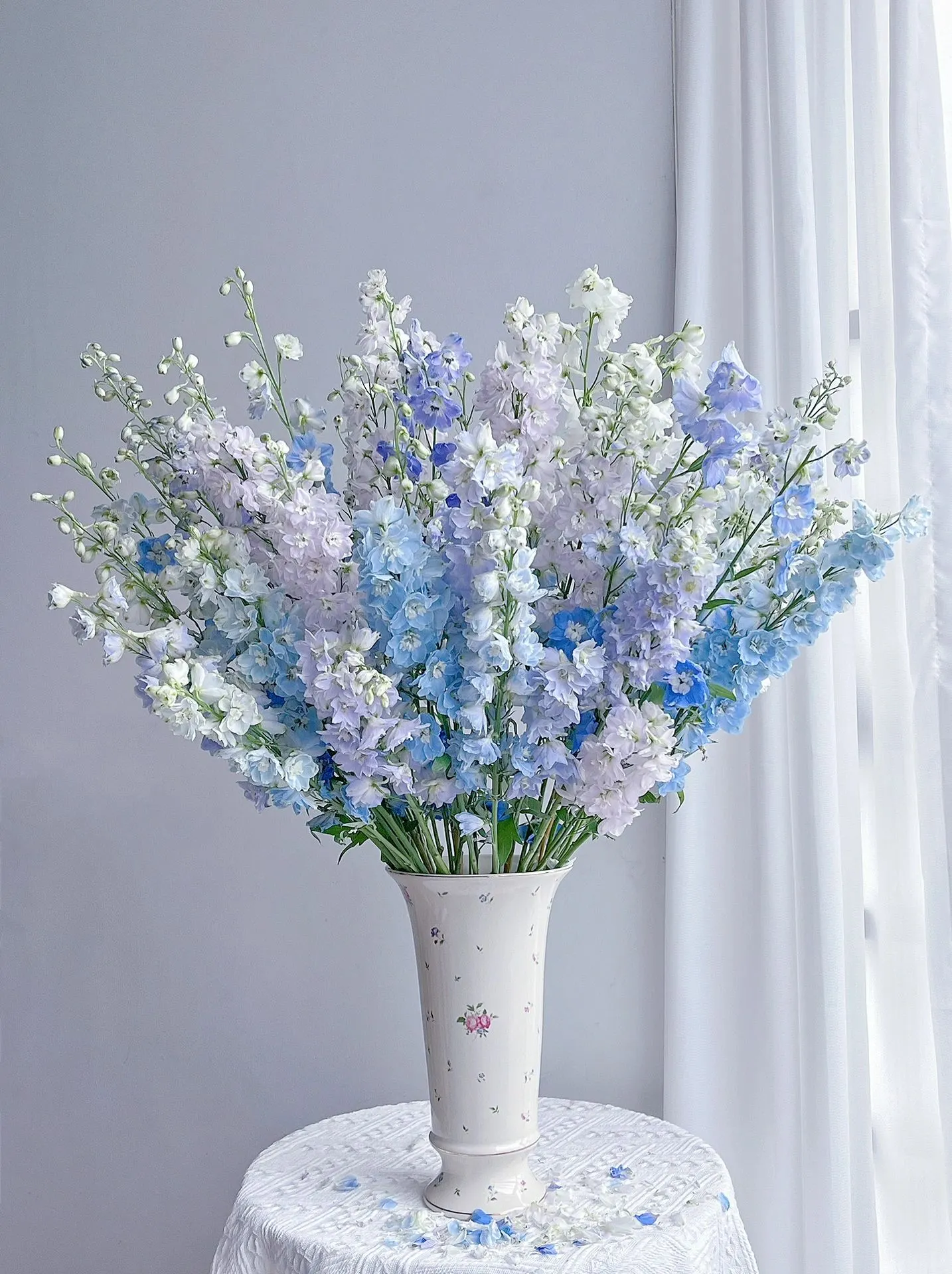 Delphinium Seeds-Mixed 7 Colors