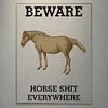 Beware Horse Shit Everywhere - Acrylic Wall Art - 12*16Inch
